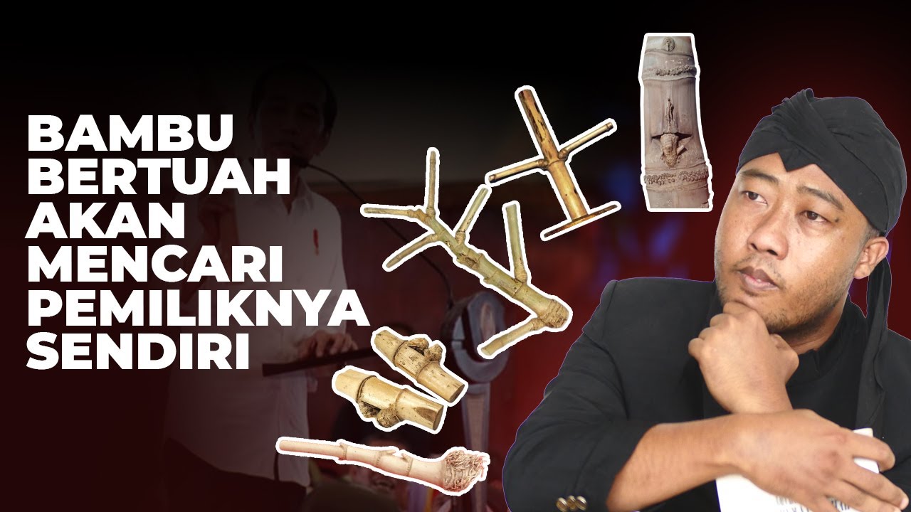 Berikut Ini Jenis Jenis Bambu Bertuah dan Khasiat Energinya