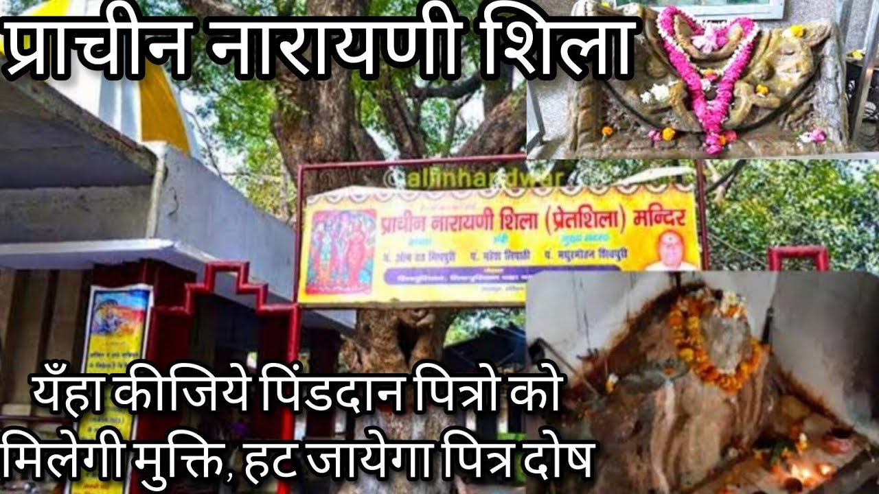 Narayani Shila Haridwar।यँहा कीजिये पिंडदान पित्रो को मिलेगी मुक्ति। हट जायेगा कैसा भी पित्रदोष