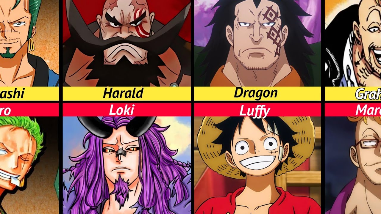 Father and sons of one piece anime