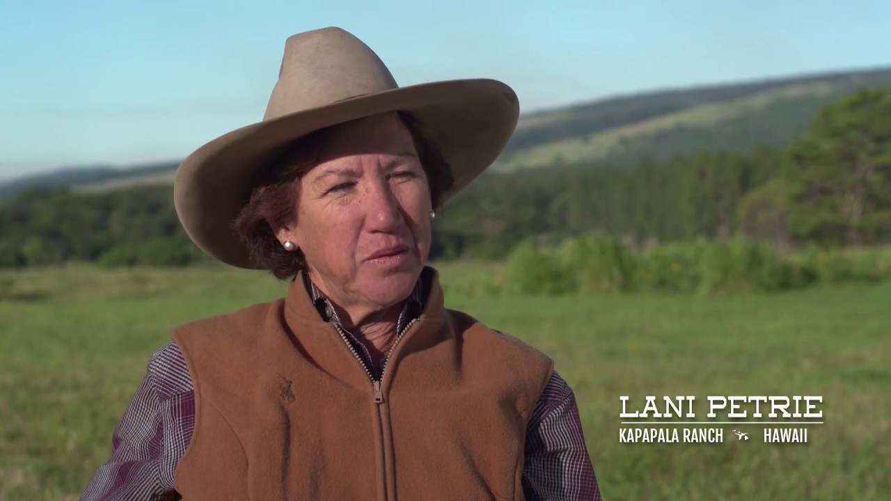 Cattlemen to Cattlemen - Raising Cattle in Hawaii