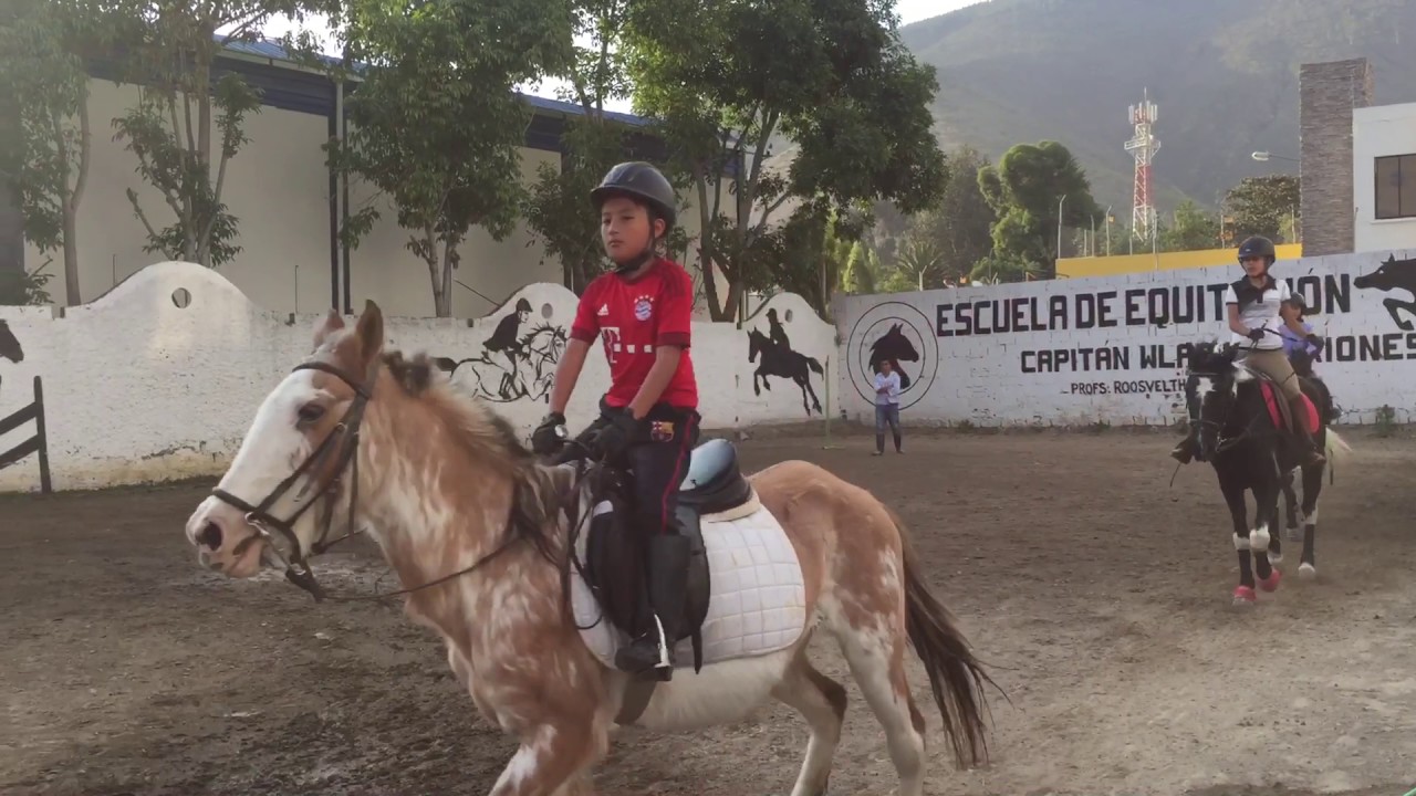 Diferente figuras geométricas que deben trabajar los jinetes con sus caballos en el rectángulo.