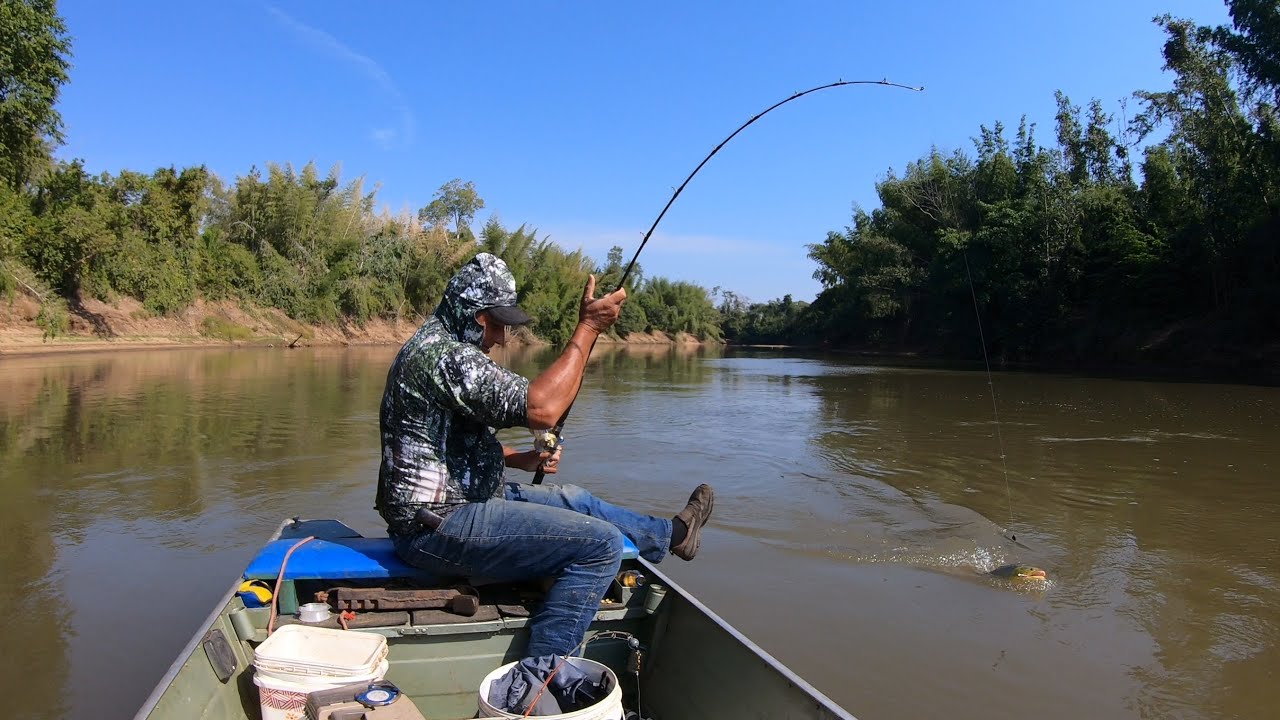 ENCERRAMOS ESTA PESCARIA NO RIO MIRANDA COM CHAVE DE OURO(#pescaria #riomiranda, culinária de pesca)