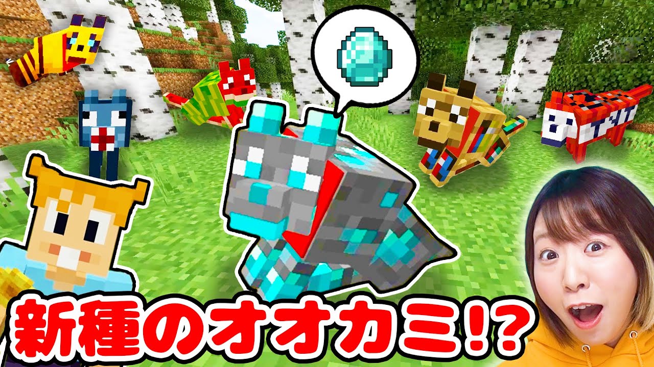 【マイクラ】なにこのオオカミ!?😱❤️新種のオオカミ10匹捕まえるまで終われませんやってみたら…【マインクラフト】【マイクラ統合版】【Minecraft】