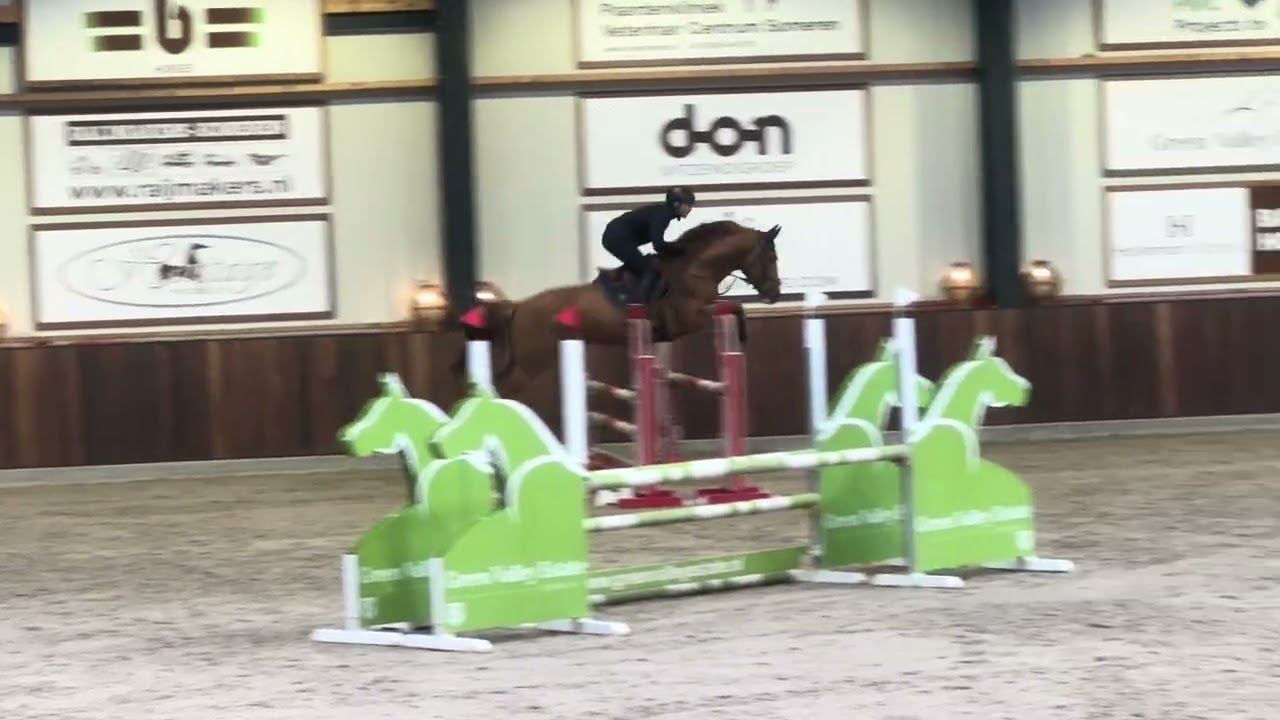 Available Z / 1m / Deurne