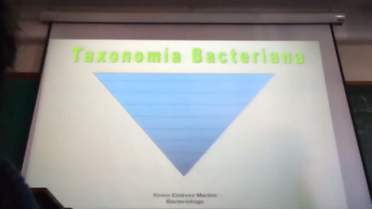 M Reinos Biológicos pt2 / Taxonomía Bacteriana 