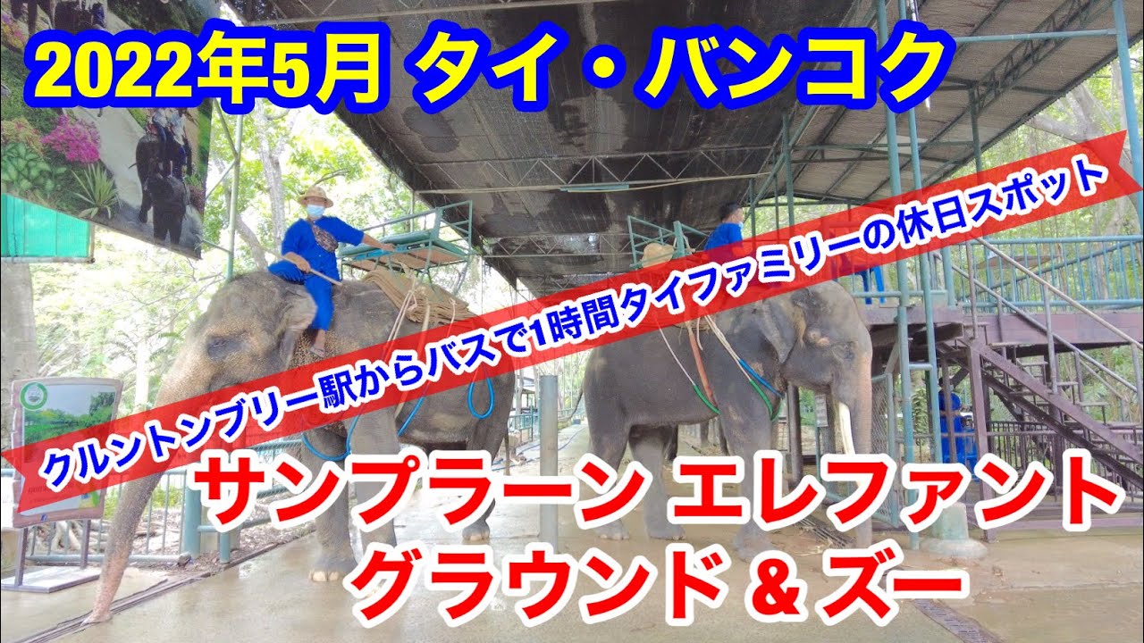 2022年5月 タイ・バンコク サンプラーンエレファントグラウンド&ズーへ行ってきました