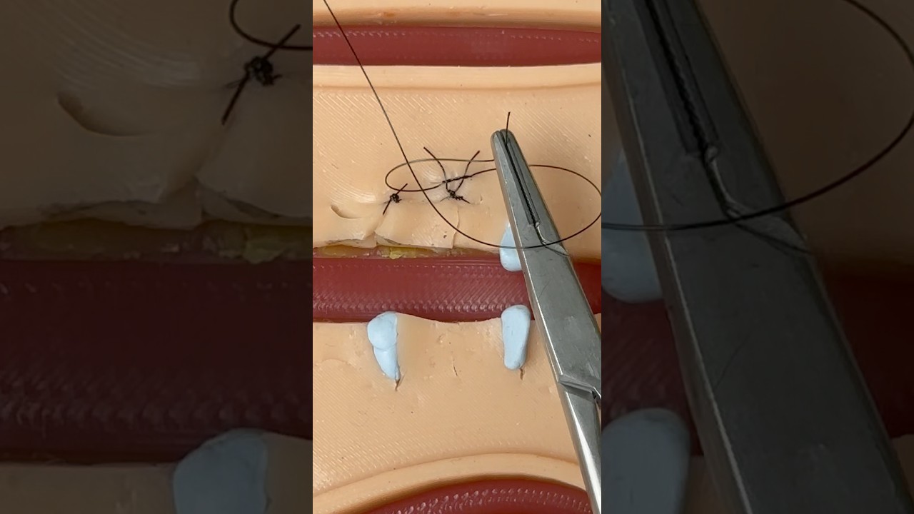 Figure-of-8 Suture for Eyelid Lacerations 😮 #goodtoknow #suturing #vet #medicine #funfacts #surgery
