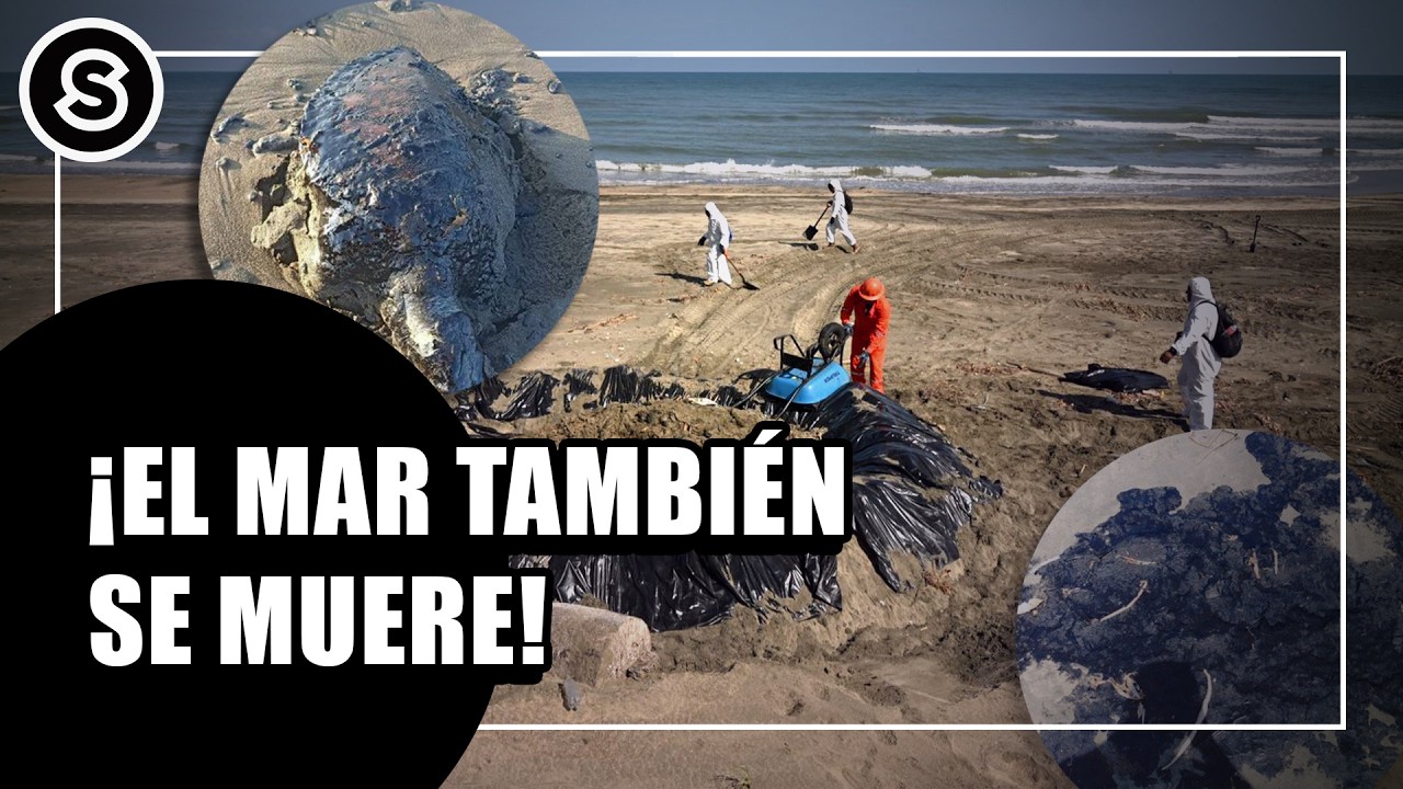 Pemex está MATANDO el Golfo de México: IMÁGENES SATELITALES exhiben el PELIGRO