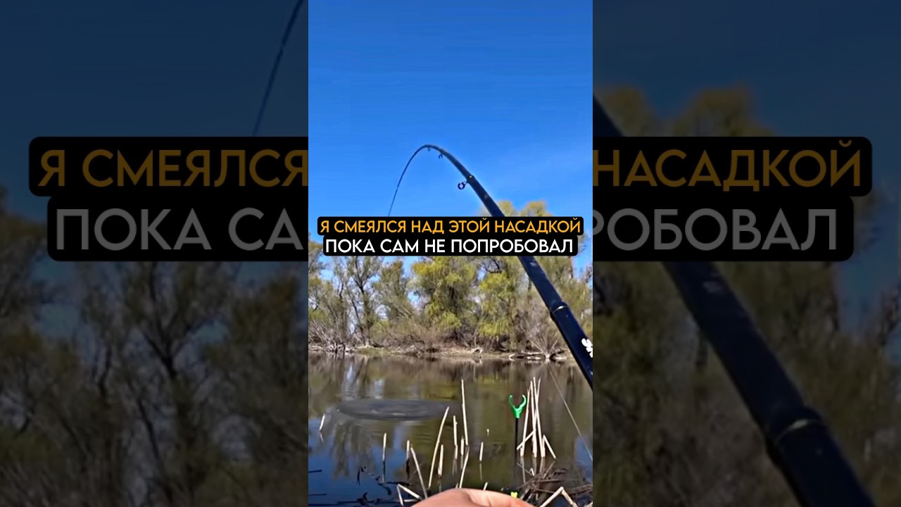 все смеялись над этой насадкой #рыбалка #карась #fishing