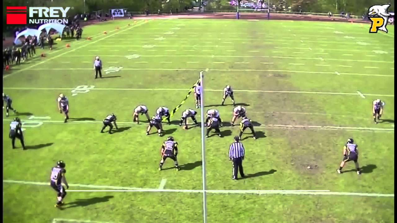 Scores: Paderborn Dolphins @ Ritterhude Badgers