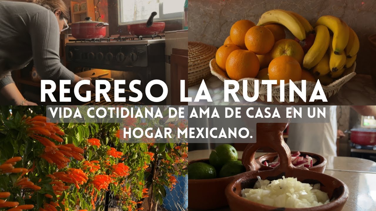 Regreso a la rutina de la vida cotidiana de ama de casa - COMPRAS DE BARRO ARTESANAL - Se fue la 🎄🎅