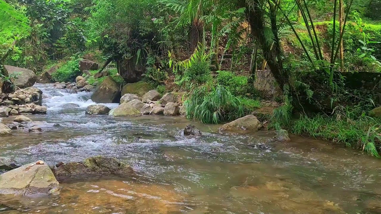 Healing Water Stream | Natural Sound for Restful Sleep and Stress Relief