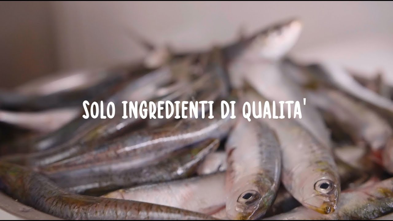 Real Bowl - il miglior cibo fresco per cani a domicilio