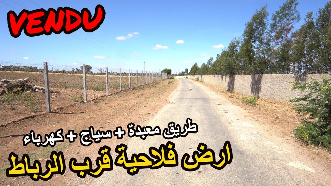 ✨  عشاق الاراضي الرباطية ارض فلاحية محفظة مساحة 2 هكتار تقريبا للاستمتاع والمشاريع ✨ الرباط - سلا