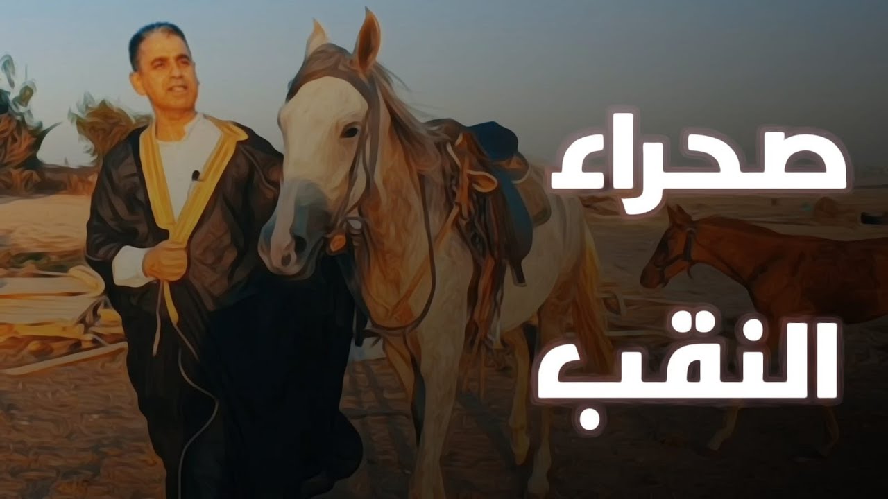 جولة في صحراء النقب