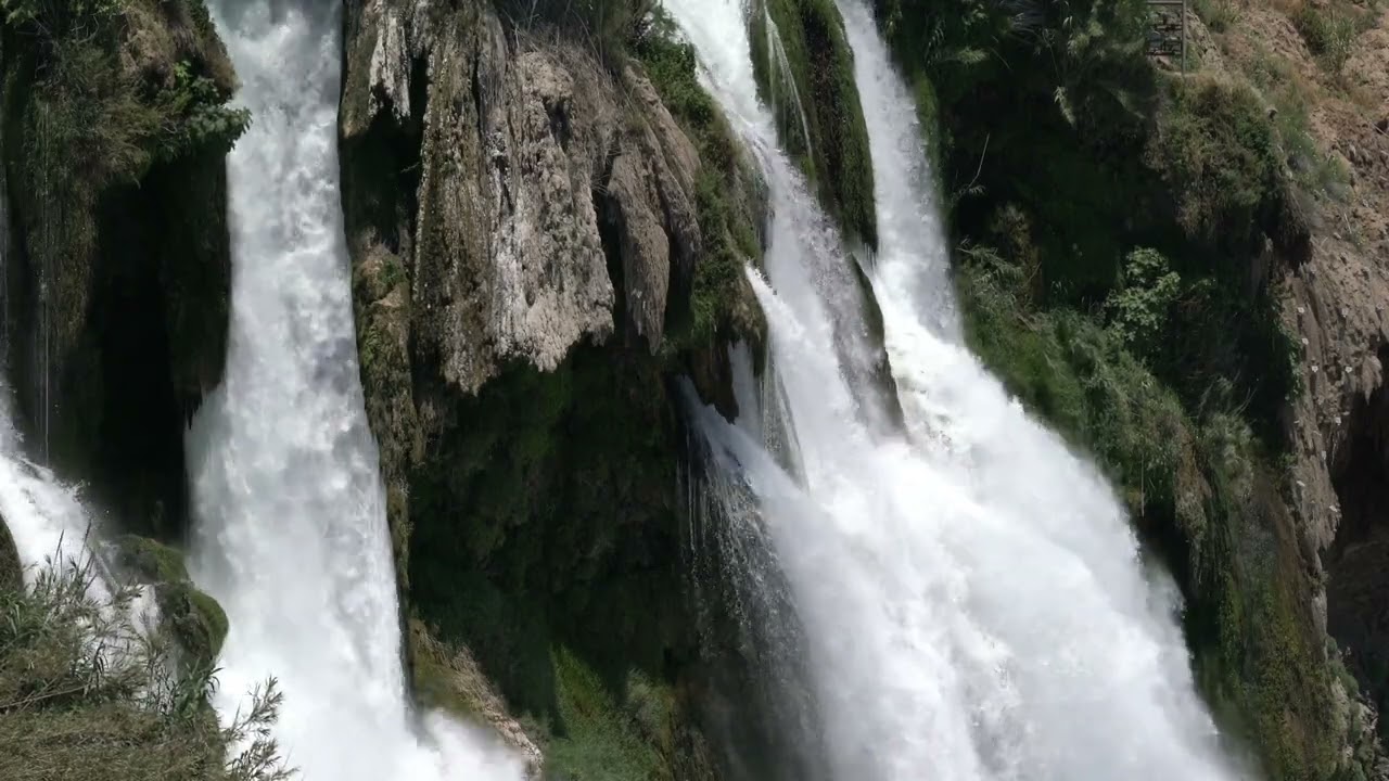 Mmerse yourself in the breathtaking beauty of nature with this captivating video.