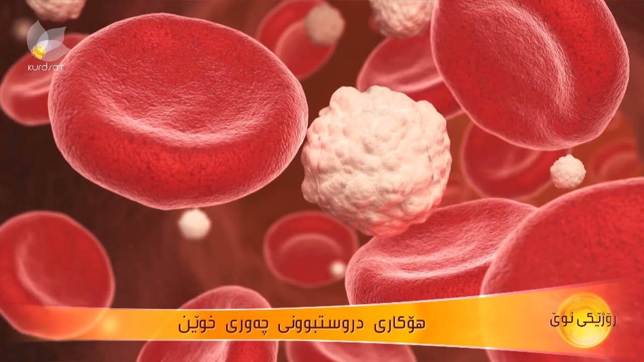 هۆكاری دروستبوونی چەوری خوێن