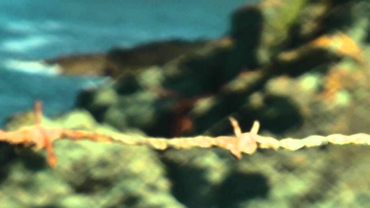 Panasonic HDC-TM700 colour and focus test 1080 50p