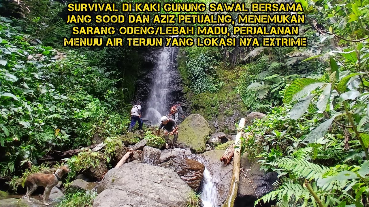 SURVIVAL DI KAKI GUNUNG SAWAL BERSAMA JANG SOOD &  AZIZ PETUALNG MENEMUKAN SARANG ODENG & AIR TERJUN
