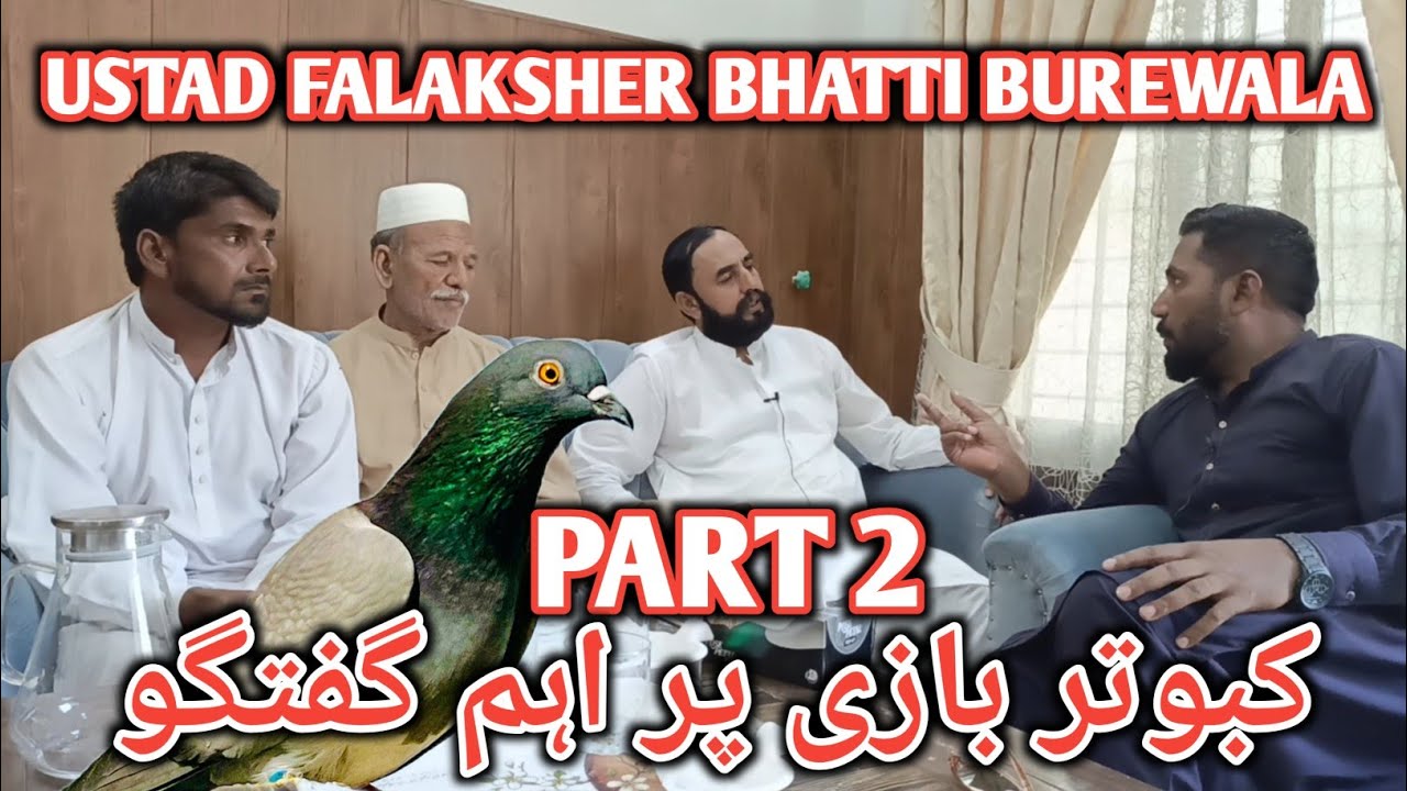 IK SHOK KABOTAR BAAZI DA|| INTERVIEW PART 2|| USTAD FALAKSHER BHATTI BUREWALA #aliimranpigeonsvlog