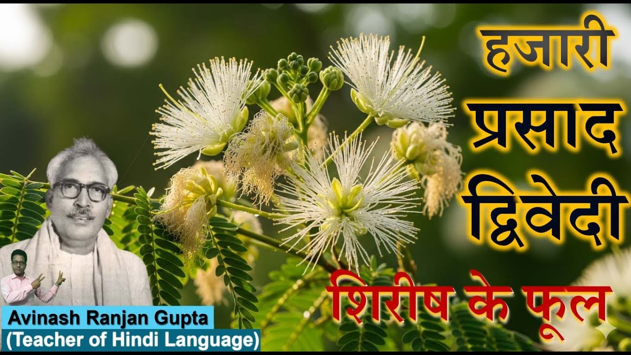 Shirish Ke Phool By Hazaree Prasad Dwivedi The Best Explanation शिरीष के फूल हज़ारी प्रसाद द्विवेदी