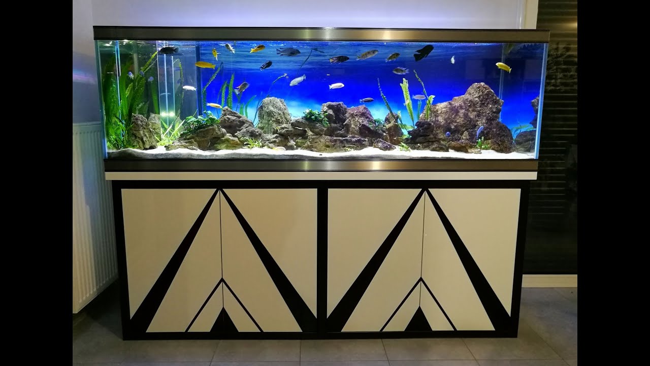 Aquarium de 720l avec décantation interne miroir. Tank with internal mirror decantation.