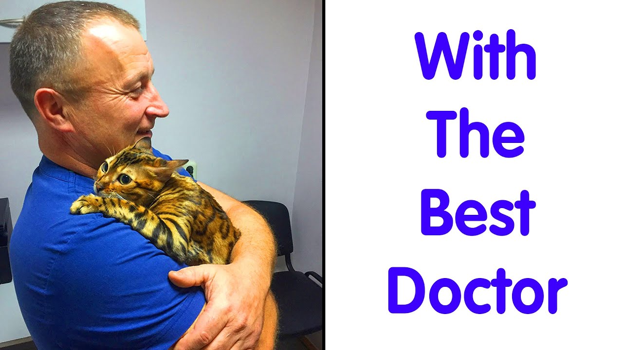Times Vets Encountered The Cutest Pets At Work And Just Had To Take A Picture - cute animal