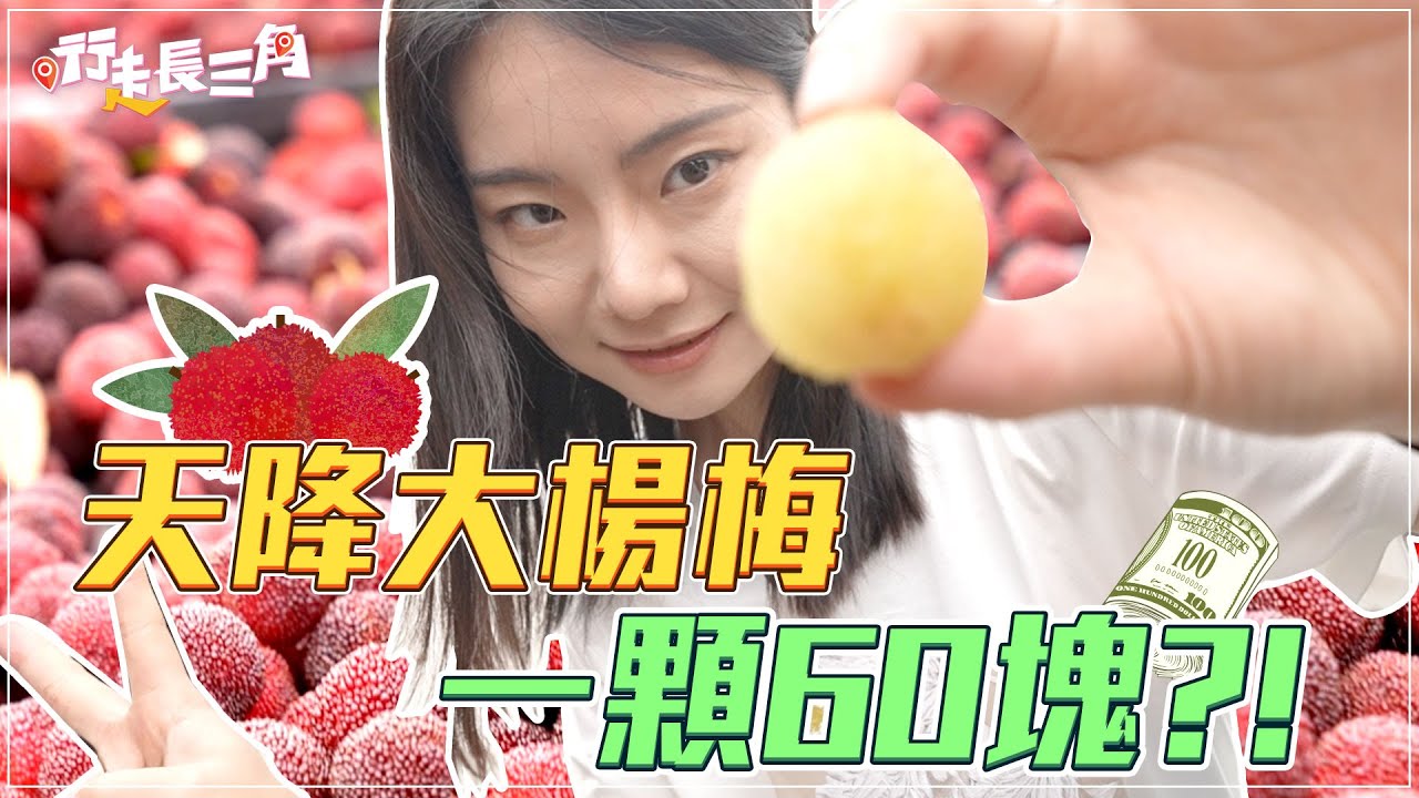 UNKNOWN CHINESE FRUIT? ｜比乒乓球還大的楊梅半夜邊摘邊吃，看完沒流口水算我輸｜楊梅怎麼吃｜行走台州｜行走長三角
