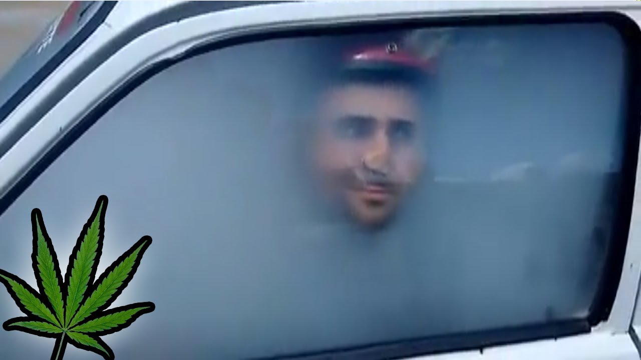 The ULTIMATE Hotbox!