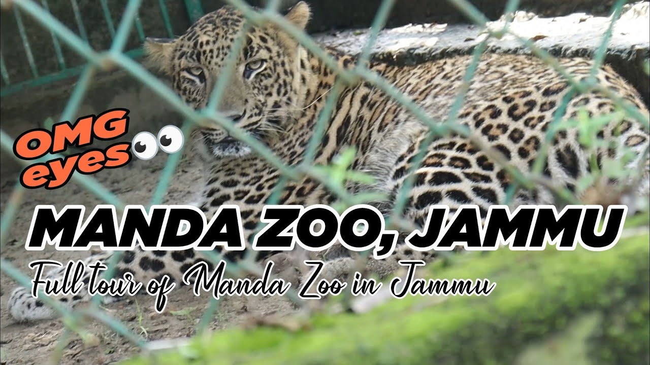 Jammu Manda Zoo | Exploring Jammu | D and Destinations