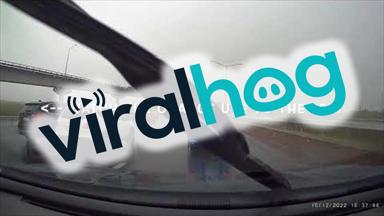 Auckland Motorway Antics || ViralHog