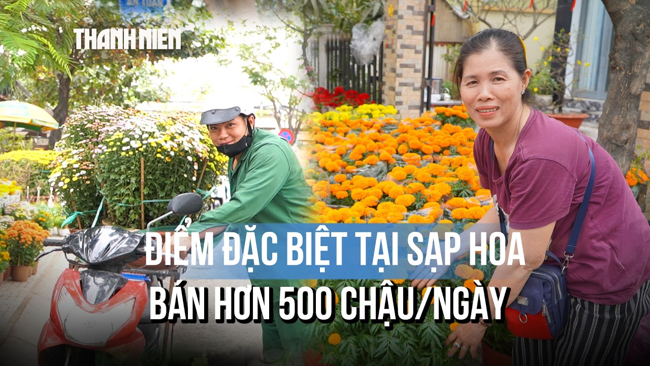Sạp hoa tết bán hơn 500 chậu/ngày: Nguồn hàng từ đâu, bán thế nào mà được truyền tai 