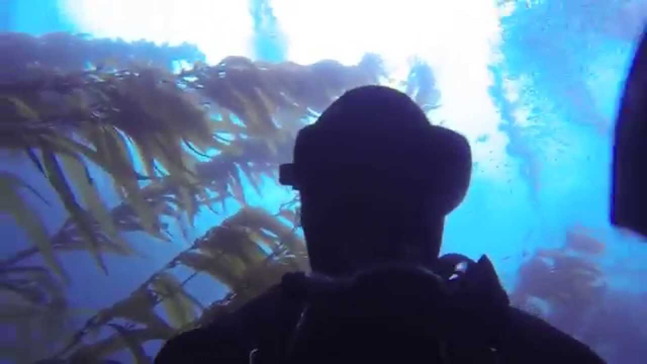 Mikes 33rd BDay Scuba Quaids Diving Spectre Dive Boat at Anacapa Island GoPro Hero4 2015