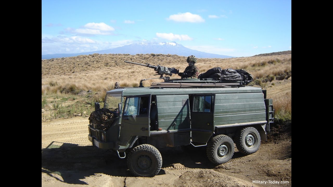 Pinzgauer.  Пинзгауэр 6х6, мечта охотника и рыбака!
