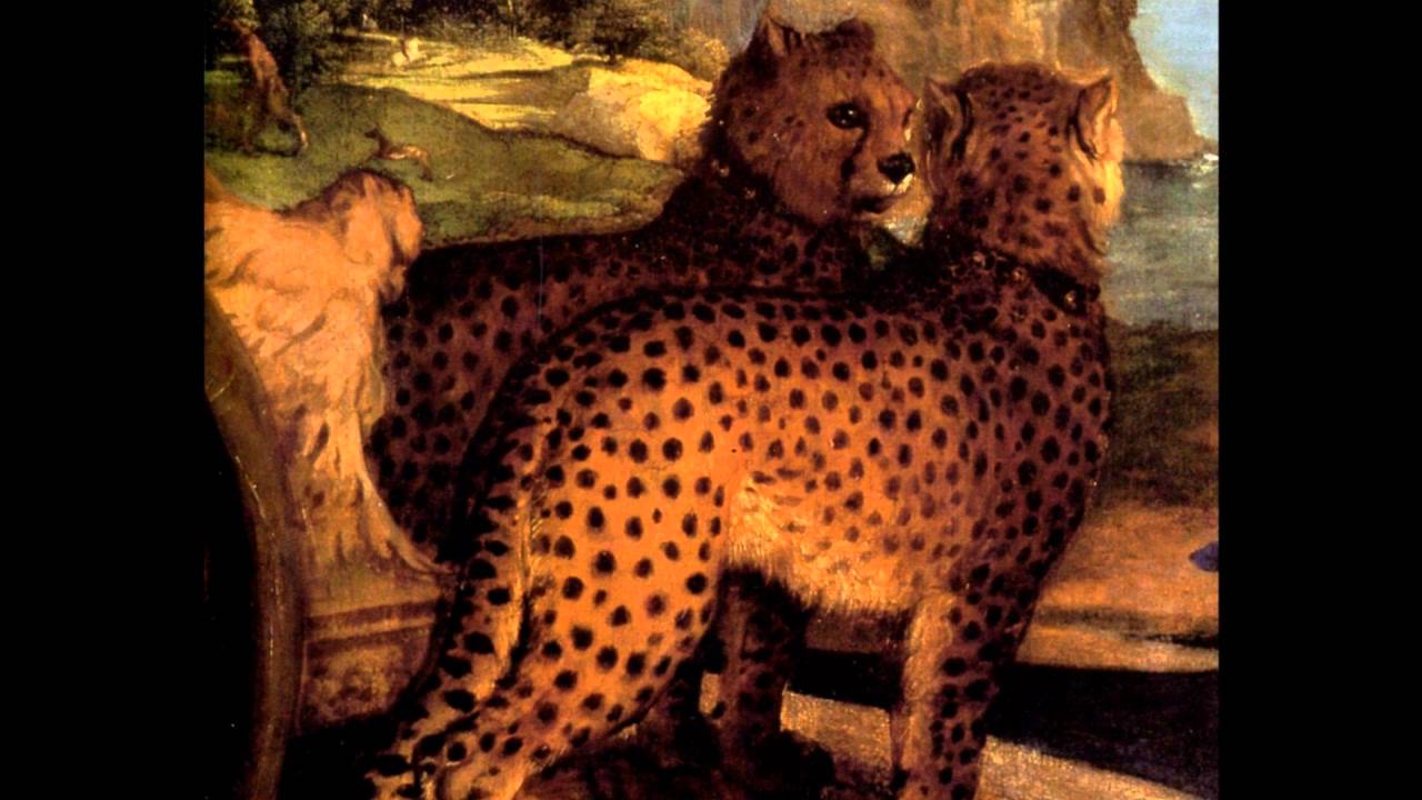 Renaissance Music for Viola da Gamba
