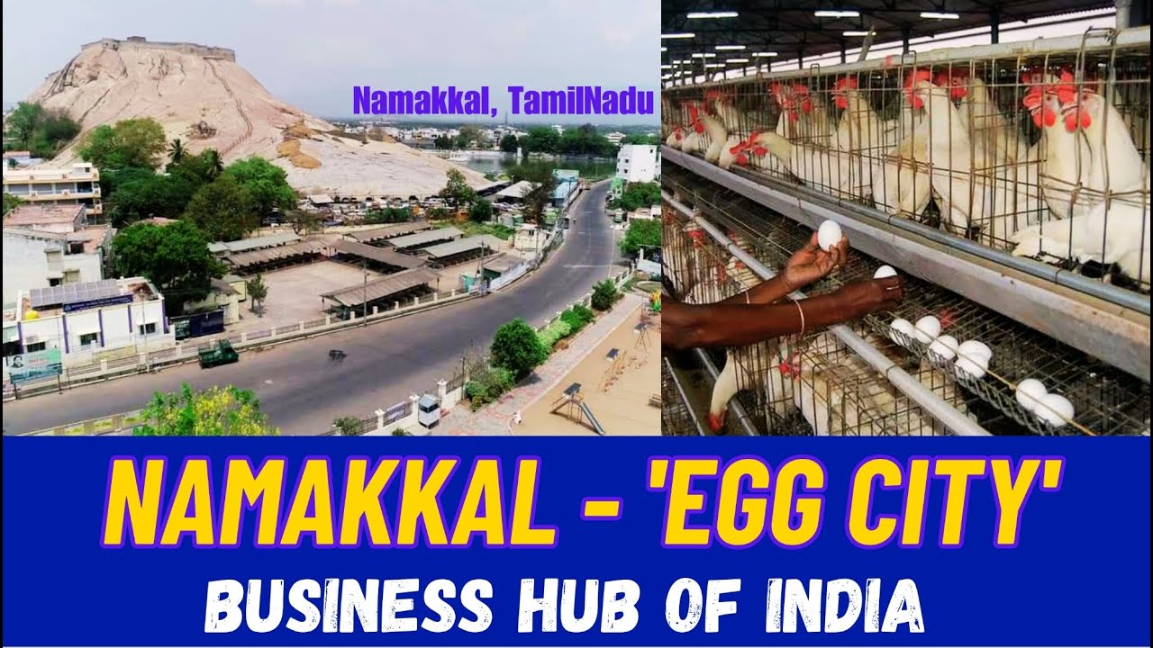 Namakkal | Egg City of India | Poultry Town | Business Hub of India