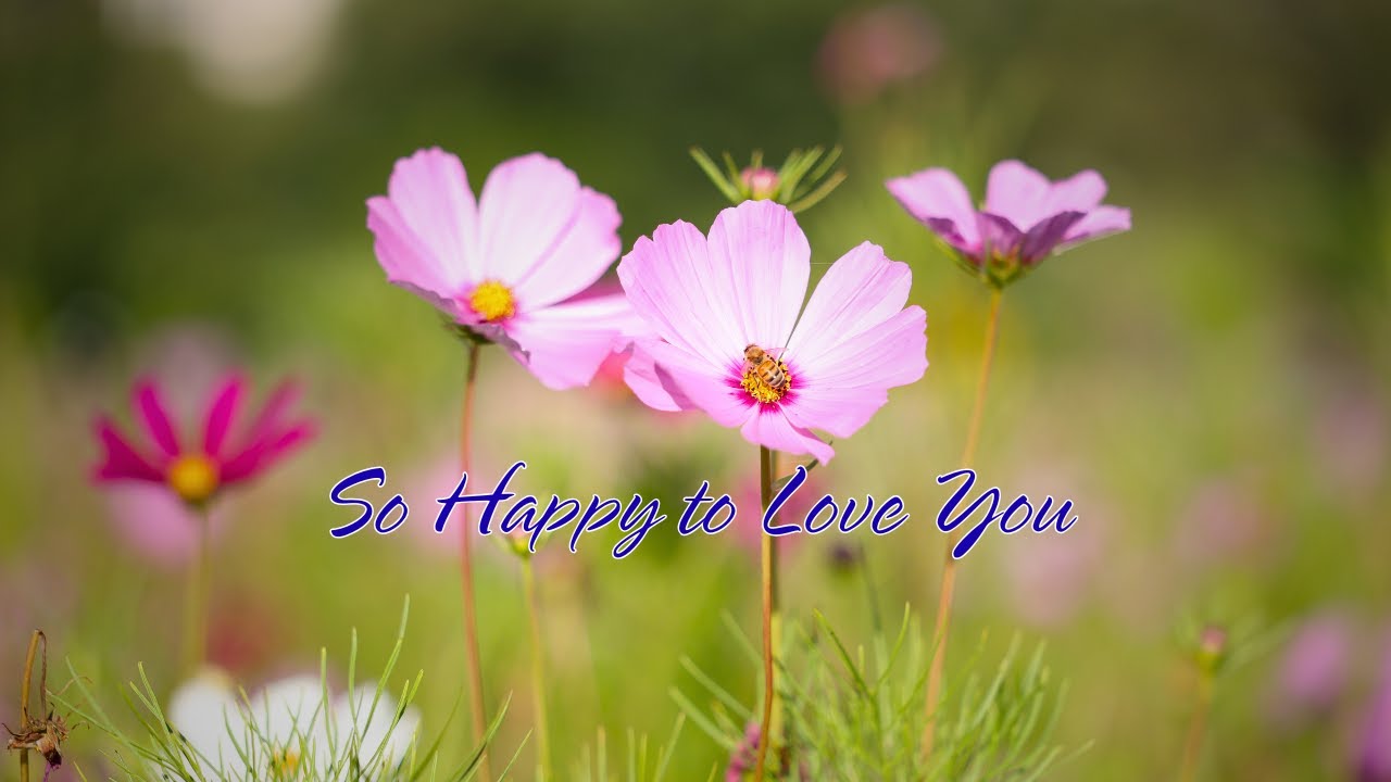 So Happy to Love You | Life Is Better With You (Official Audio)