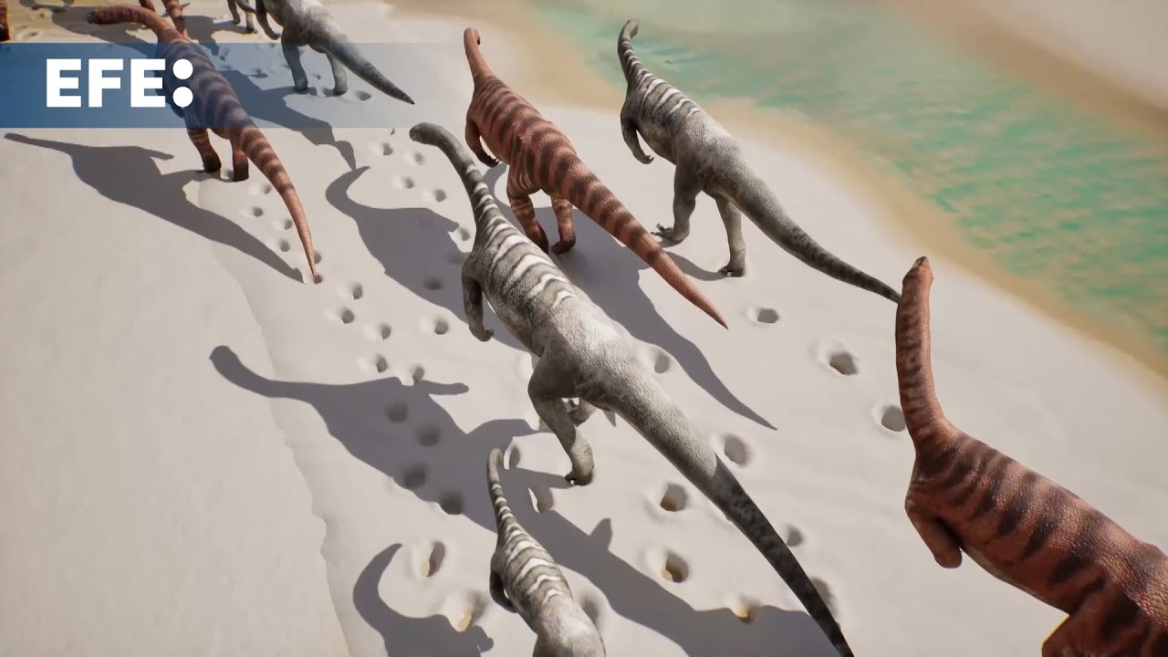 Milhares de pegadas fossilizadas s&atilde;o descobertas em 