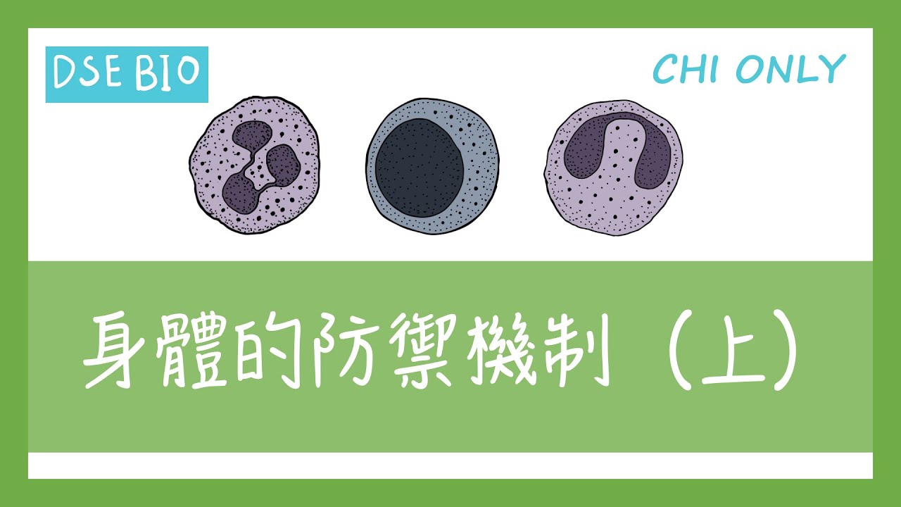 [DSE生物 - 課文重點] 19分鐘講完【身體的防禦機制】上！
