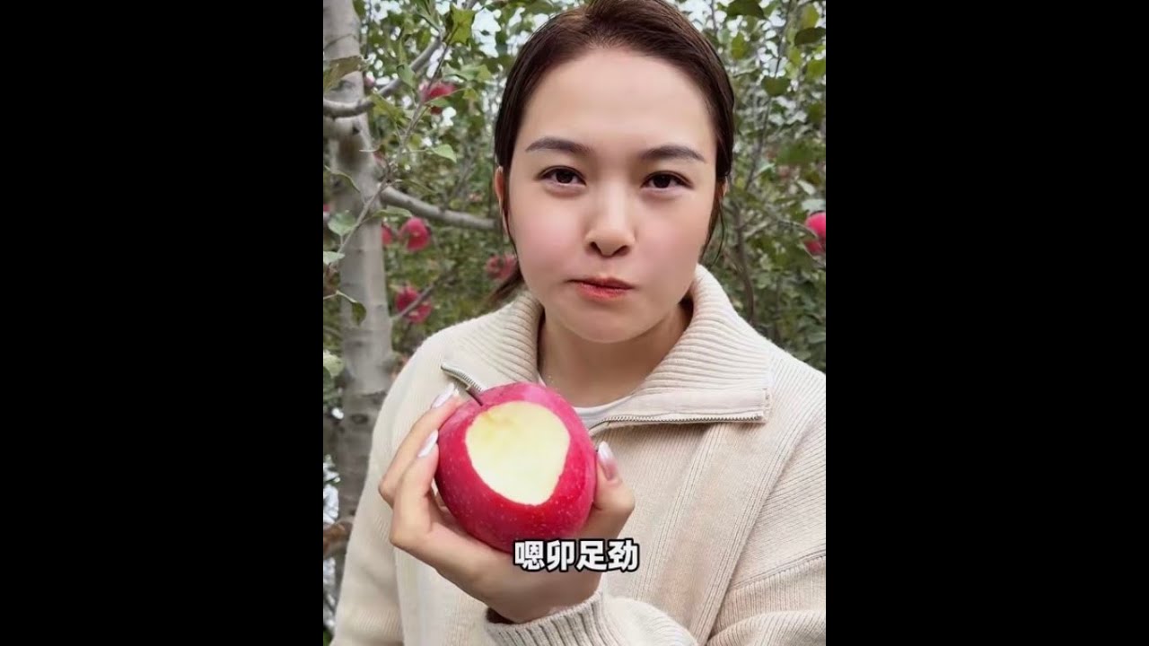 金秋10月，秋天真是收获的季节，一颗颗红富士就像娇羞的小姑娘，农民辛苦一年的汗水终将甜过一切果实！