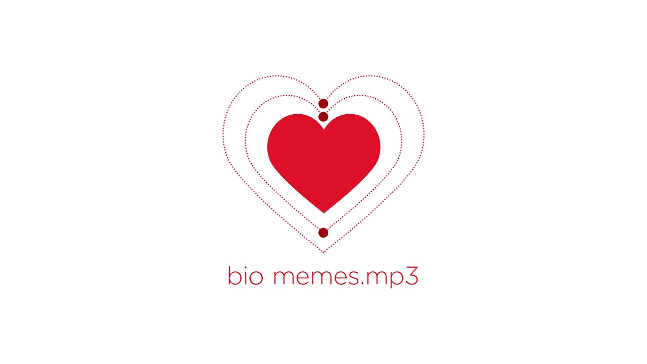 bio memes.mp3