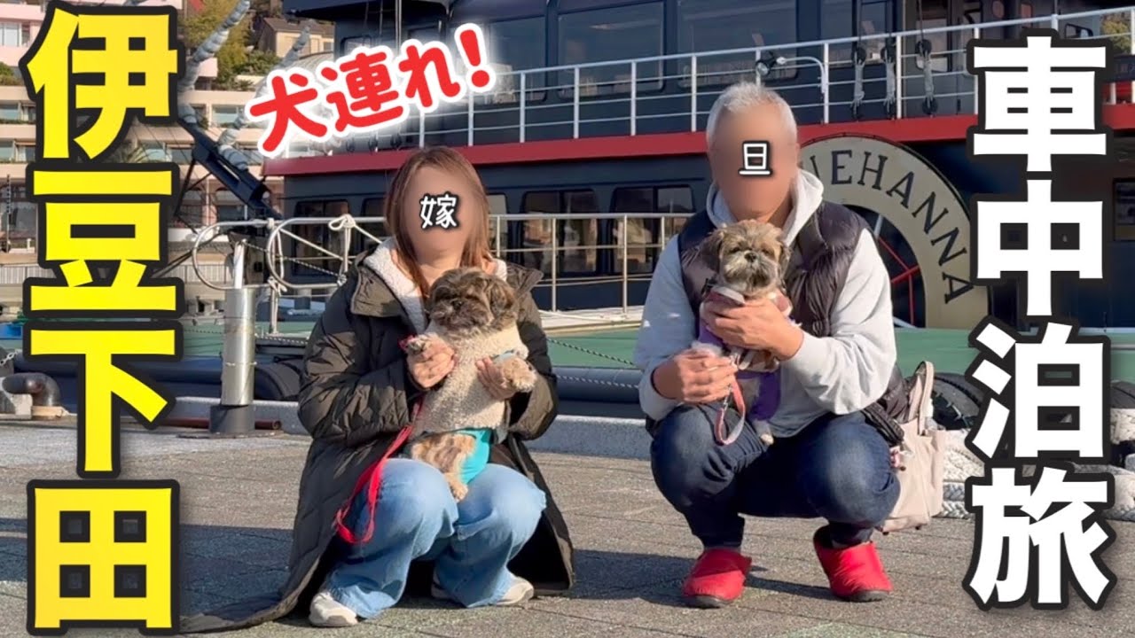 【伊豆半島下田】車中泊旅！朝から絶品海鮮！犬連れで楽しめる水族館とペリーロード散策