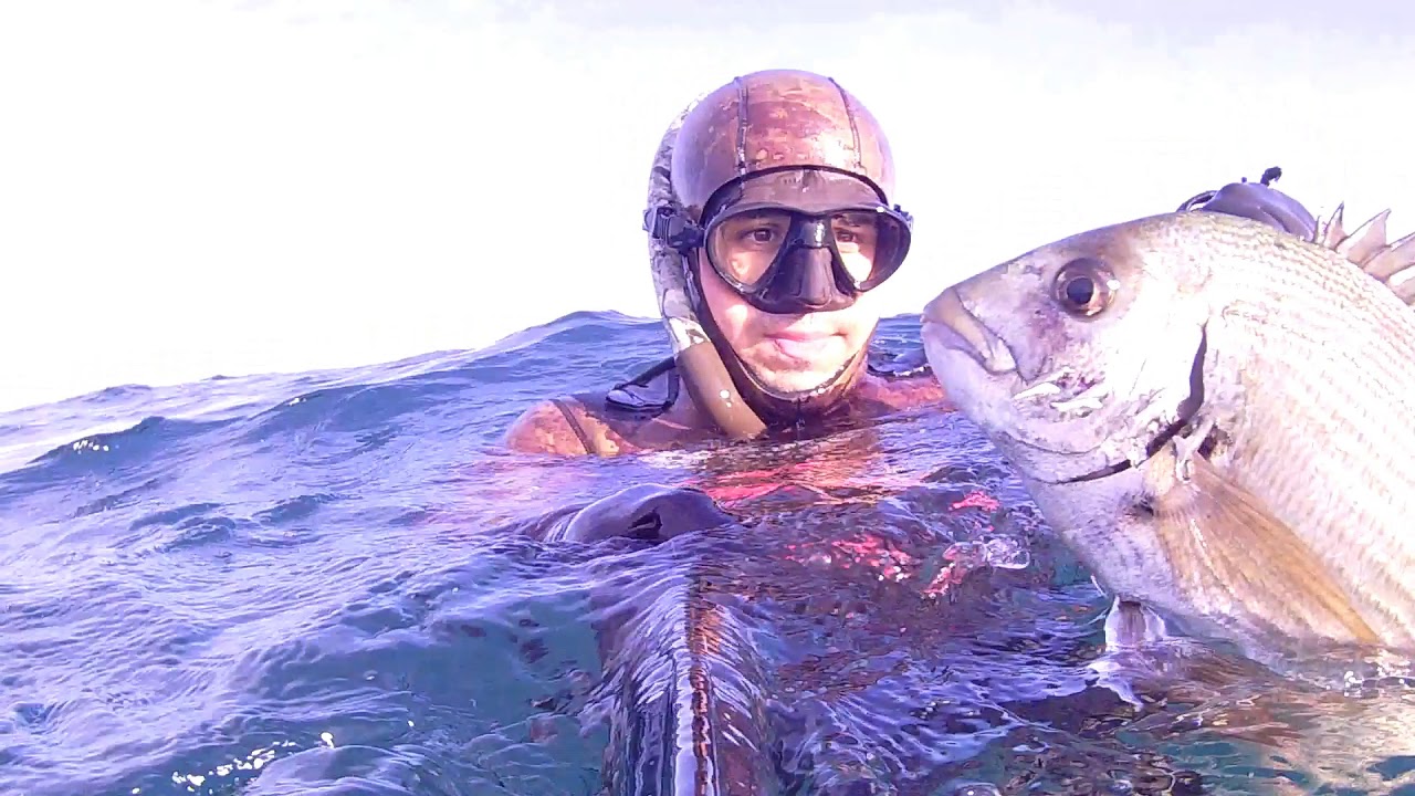 Pescasub: fucile corto e fiocina omer per la pesca in tana di saraghi, orate e cefali (Spearfishing)