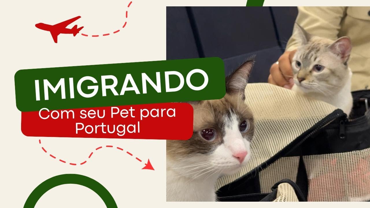 ✅ Mudança com PET para Portugal 2025: Documentos, Custos e Cuidados!