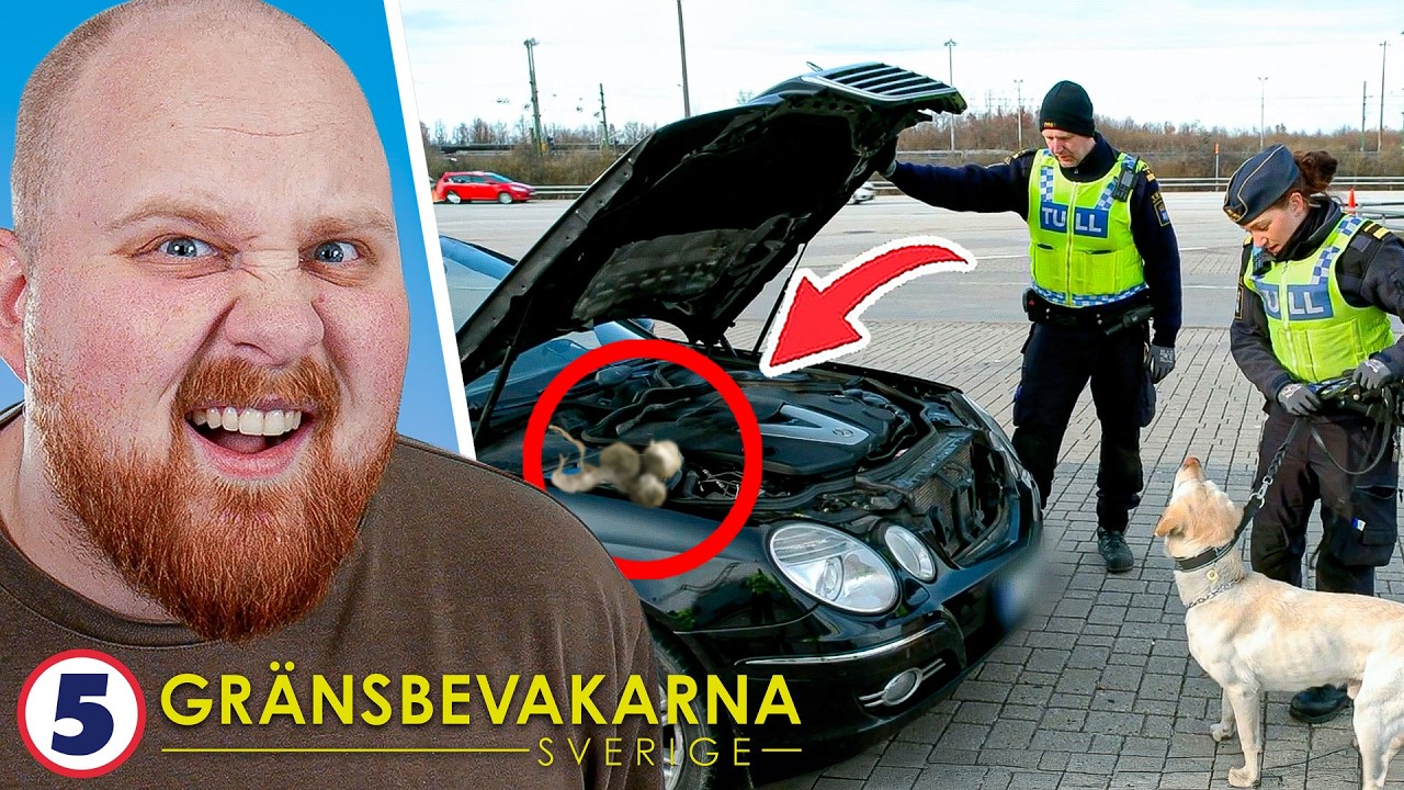 Sökhunden hittar OLAGLIGA Smugglingen! | Reagerar På Gränsbevakarna Sverige #23