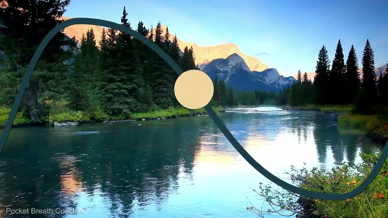 Deep Breathing for Stress Relief: The Calming 4-8 Method