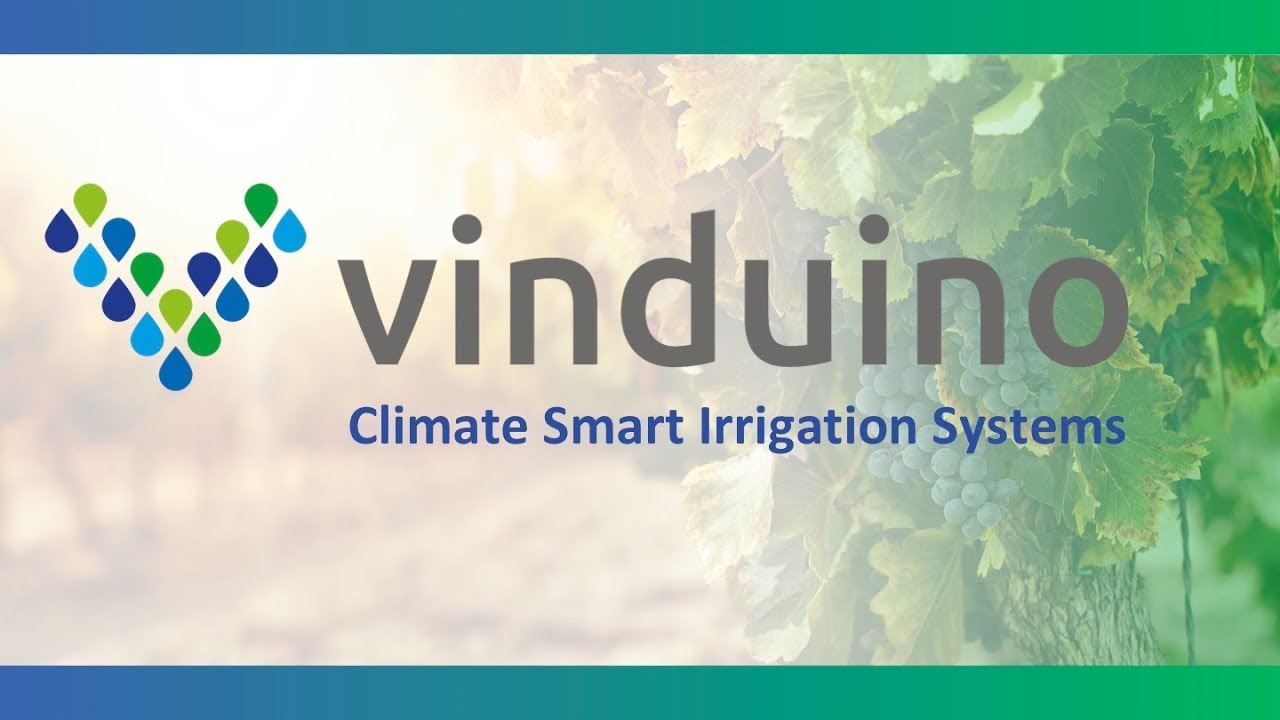 Vinduino Company brief