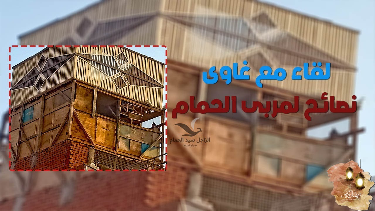 لقاء مع غاوى حمام الحلقه الاولى