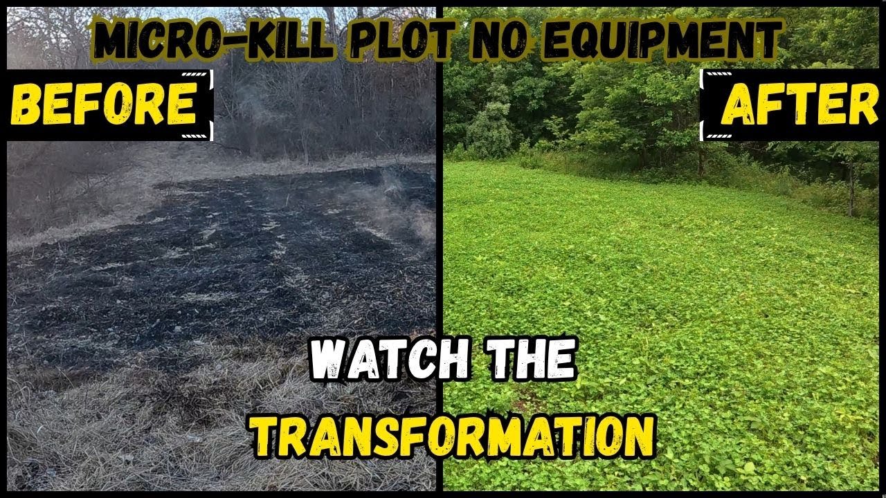 Planting a Micro-Clover Food Plot With No Equipment!! (Hand Tools Only)