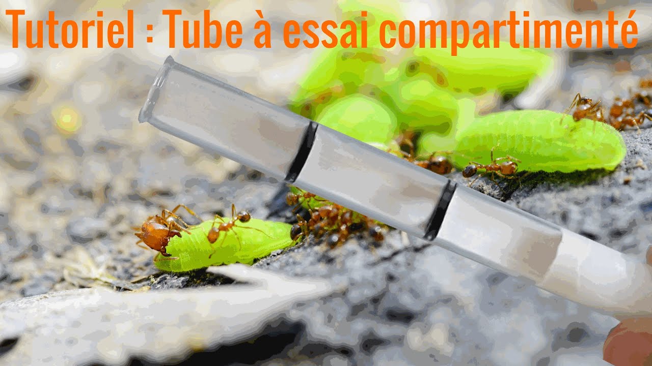 Tutoriel : tube en plâtre compartimenté et rechargeable à porté de tous.